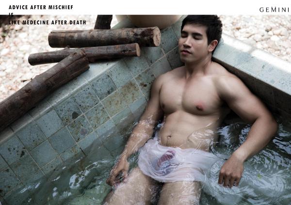 Gemini-11----Win-Nawin-Sinphommas