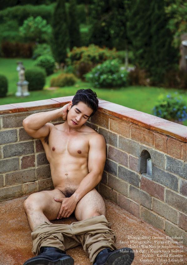 Gemini-11----Win-Nawin-Sinphommas