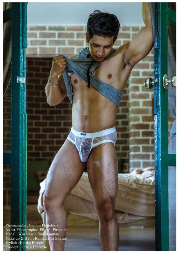 Gemini-11----Win-Nawin-Sinphommas