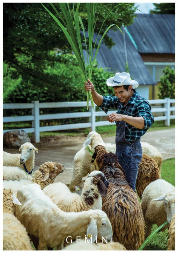 Gemini-11-粗壯農夫-大雞-Win-Nawin-Sinphommas