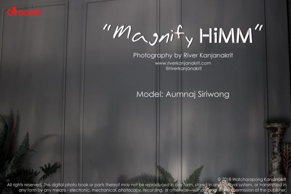 HiMM-08---Bird-Aumnaj