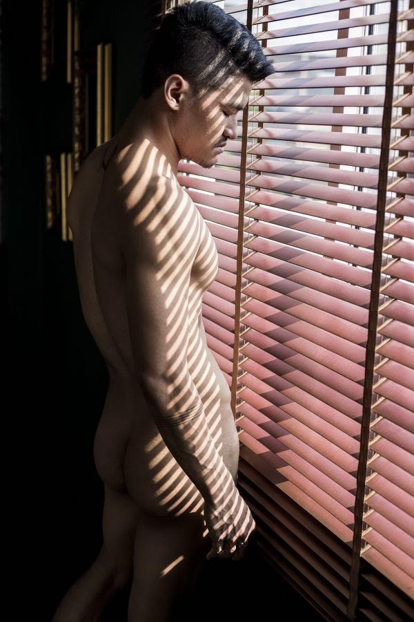 HiMM-08---Bird-Aumnaj