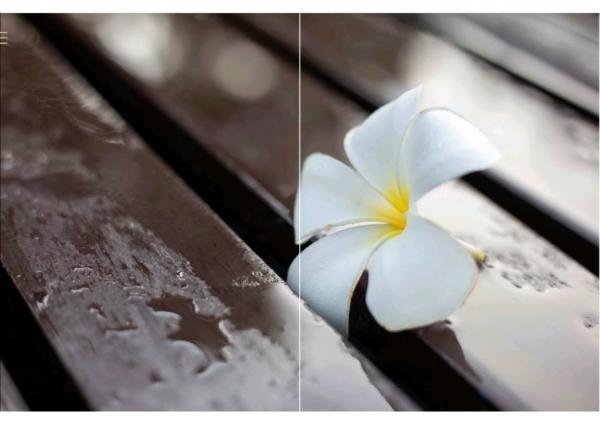 HiMM-12--Naked-Issue