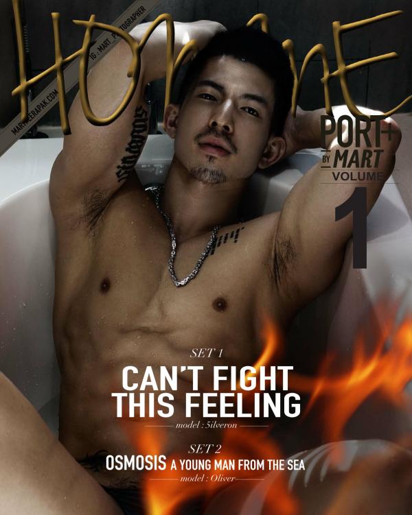 Homme-vol1--Silveron