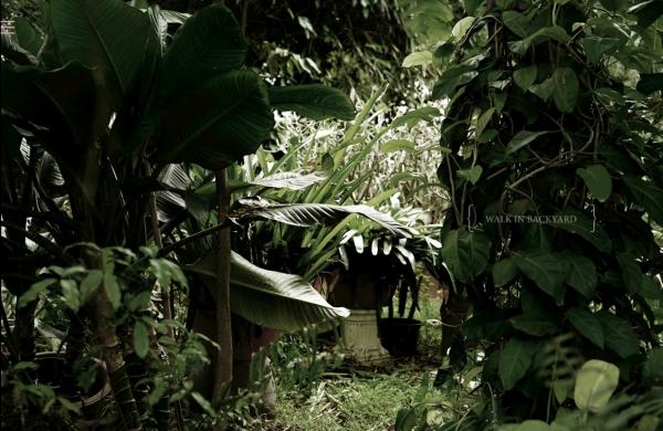 Homo-Guy-02--Young-Boy-Red-Power