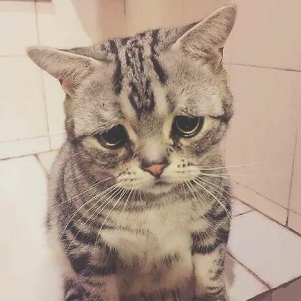 Hunger-Homme--Ice-Ratawit