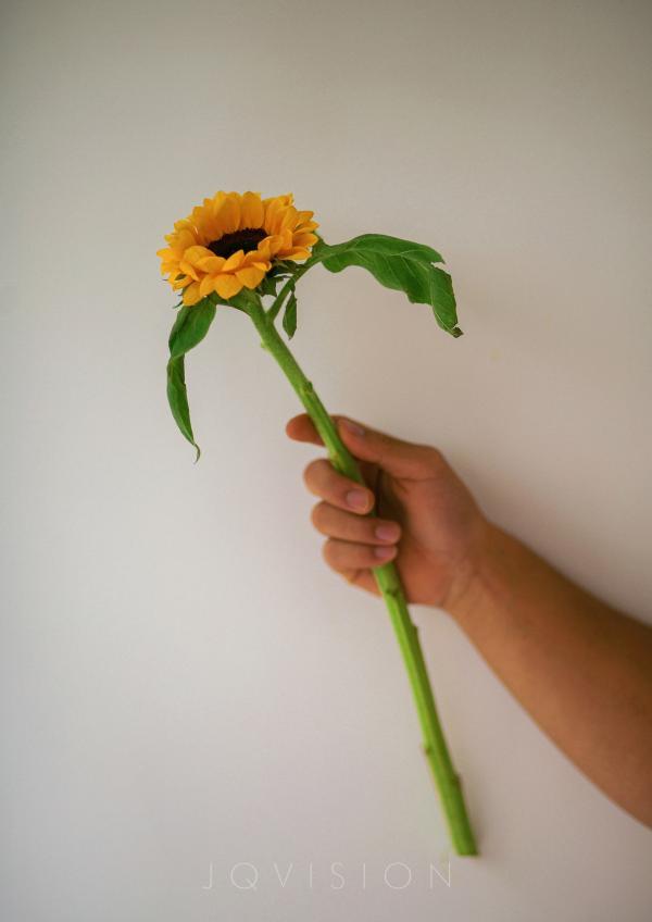 JQVISION-ISSUE-06-–-Zeng-Haoran