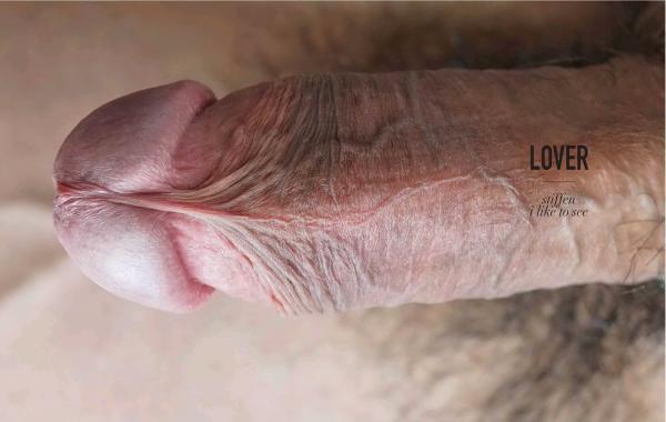 LOVERS-01--All-The-Lovers