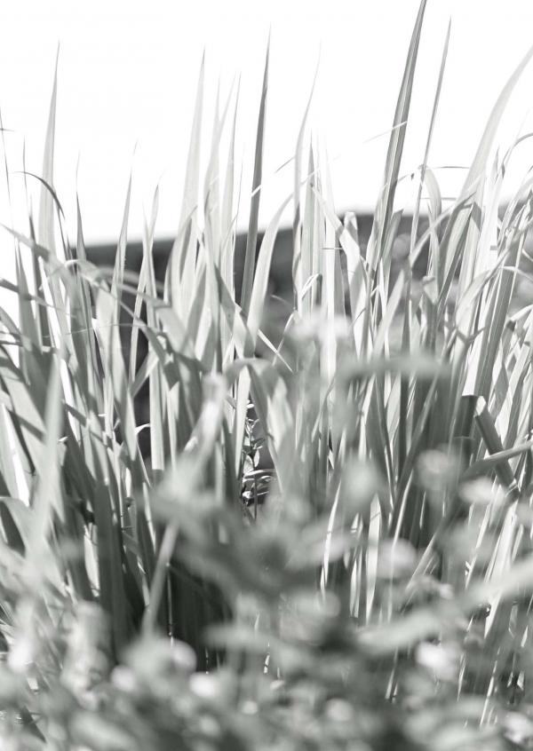 Menluscious--Issue-02---Fame-Krittapat