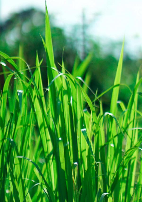 Menluscious--Issue-02---Fame-Krittapat