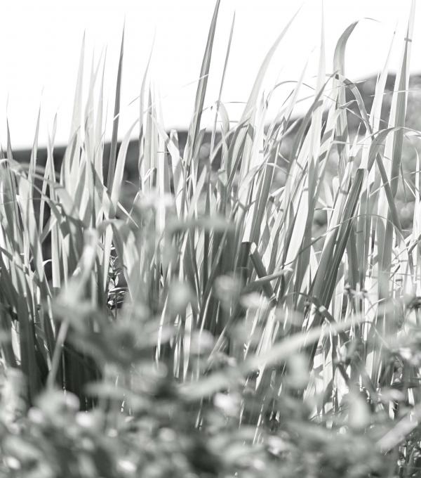 Menluscious--Issue-02---Fame-Krittapat