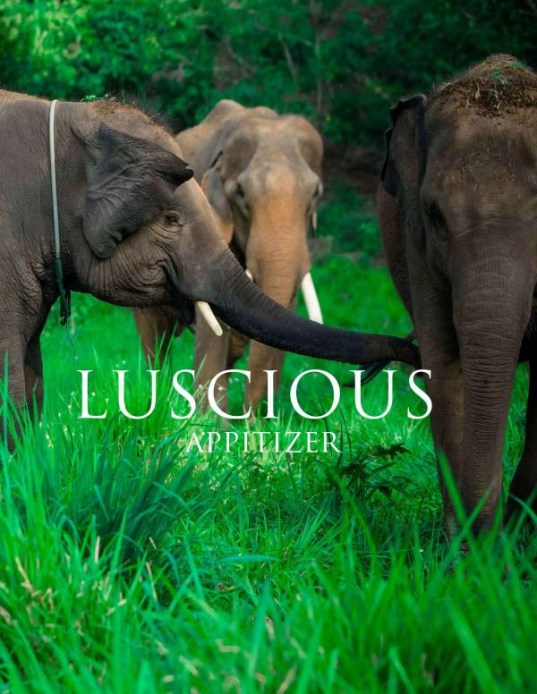 Menluscious-Issue-01--Ron-Charron