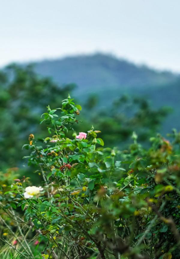 Menluscious-Issue-02---Fame-Krittapat