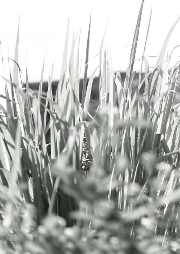 Menluscious-Issue-02---Fame-Krittapat