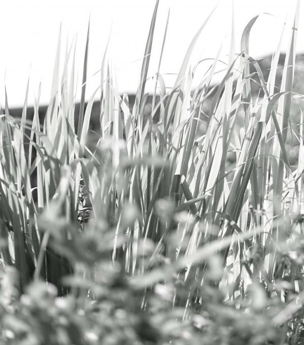 Menluscious-Issue-02---Fame-Krittapat