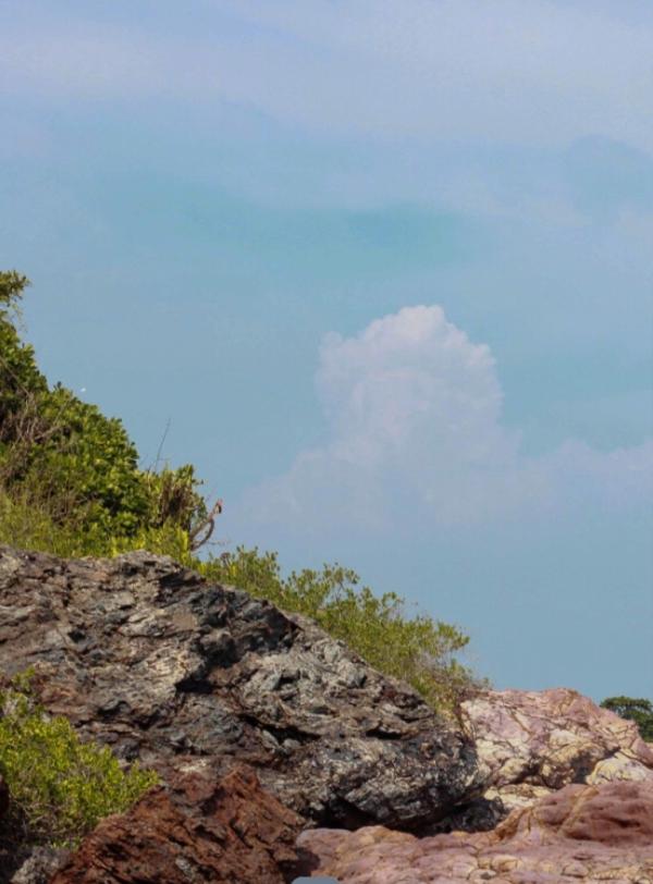 REPICK-02--Beam-Sasawat