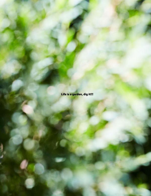 RareRoot-Issue-01---Nut