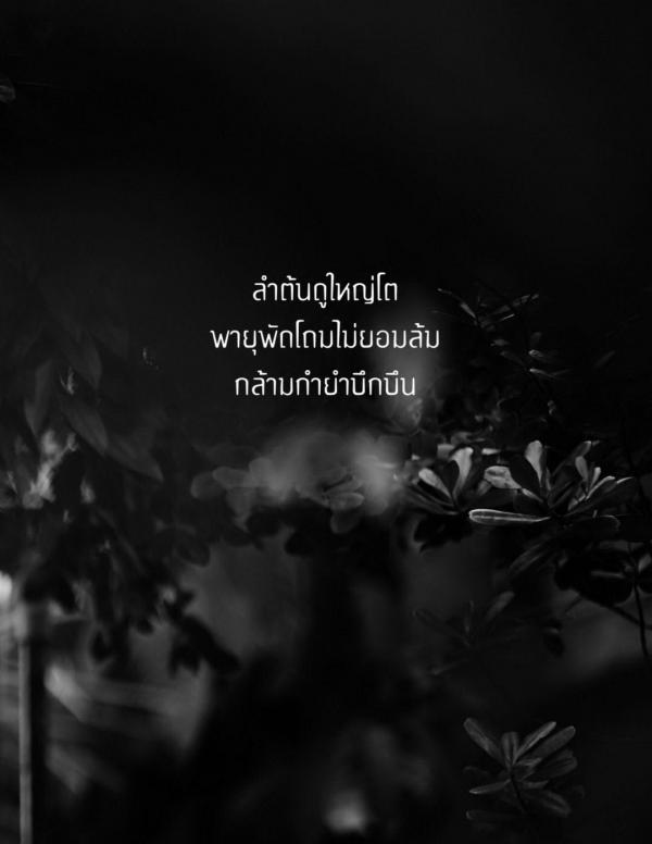 RareRoot-Issue-01---Nut