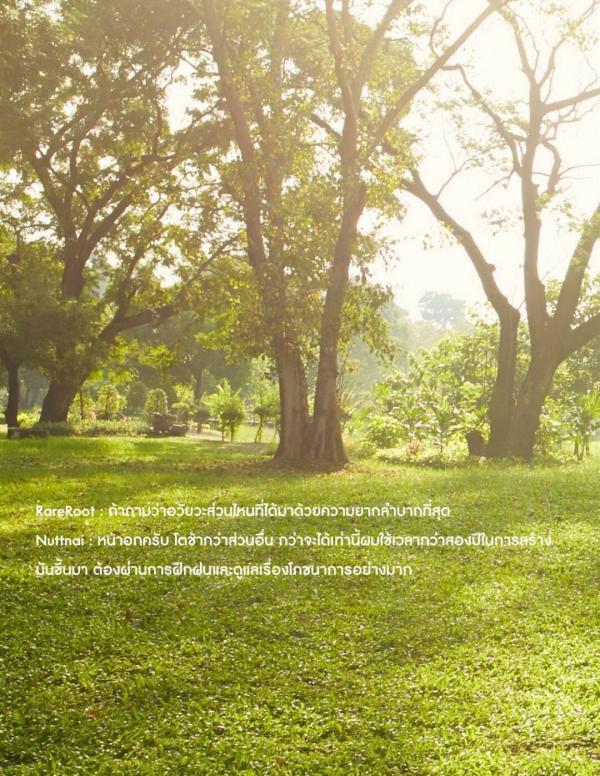 RareRoot-Issue-01---Nut