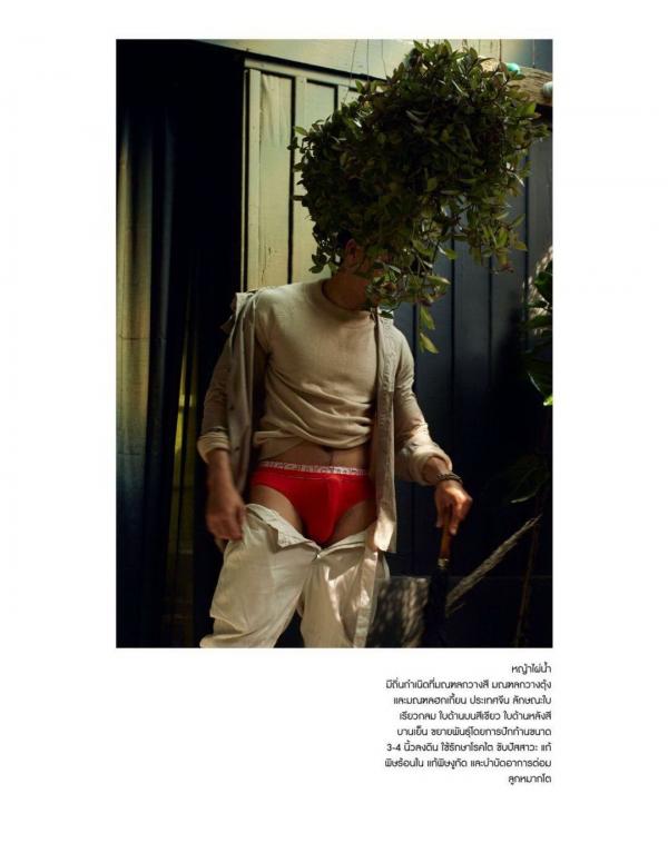 RareRoot-Issue-01---Nut