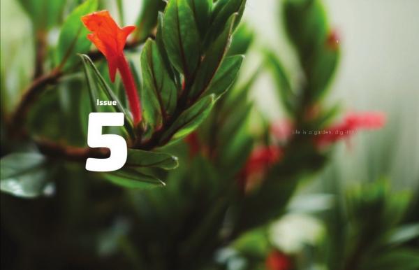 RareRoot-Issue-05--BHU