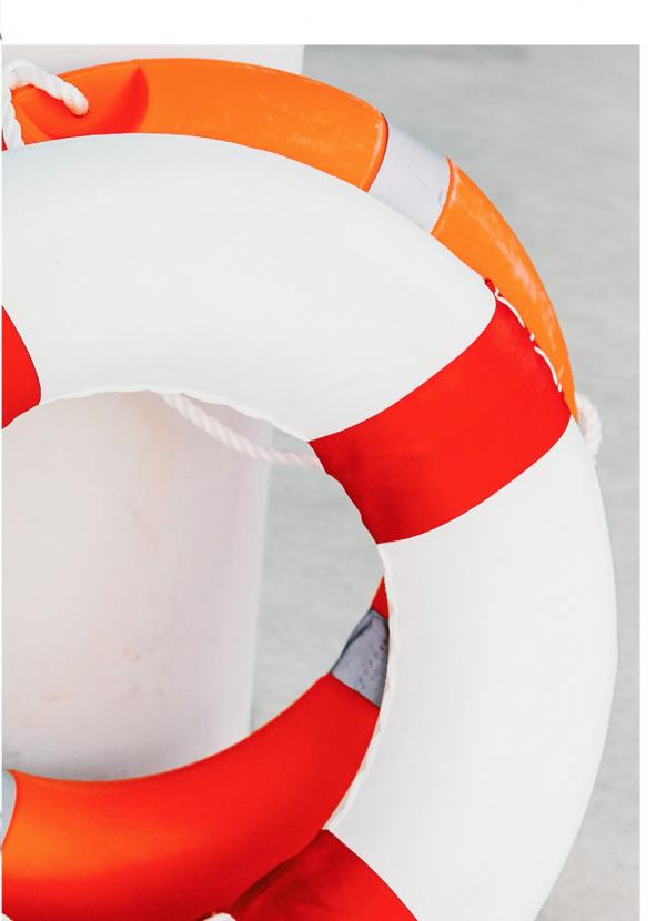 Riziist-Magazine-02--Earth