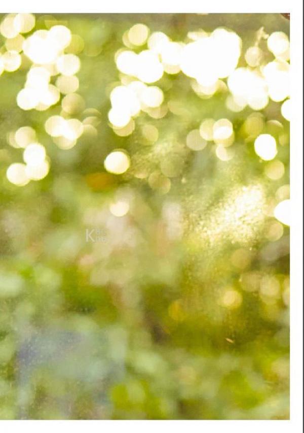 Riziist-Magazine-Issue-03-–-PALM-amp-TOR