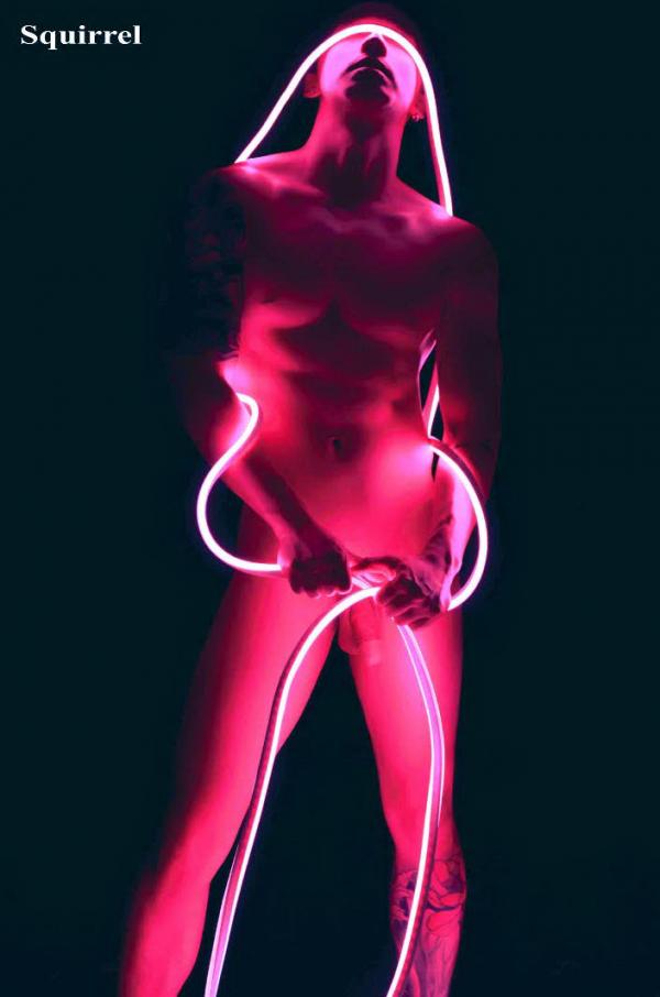 Squirrel-No.1--Baiwan