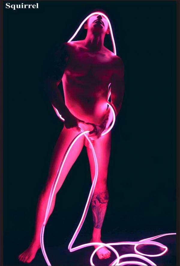 Squirrel-No.1--Baiwan