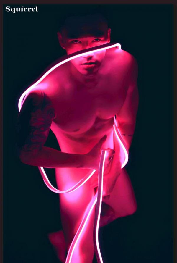 Squirrel-No.1--Baiwan