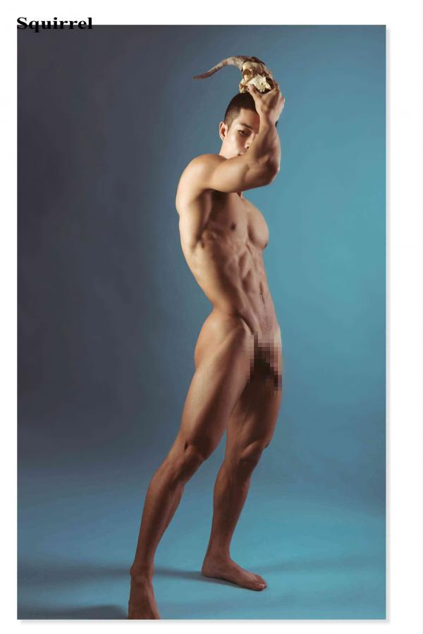 Squirrel-No.2--Young