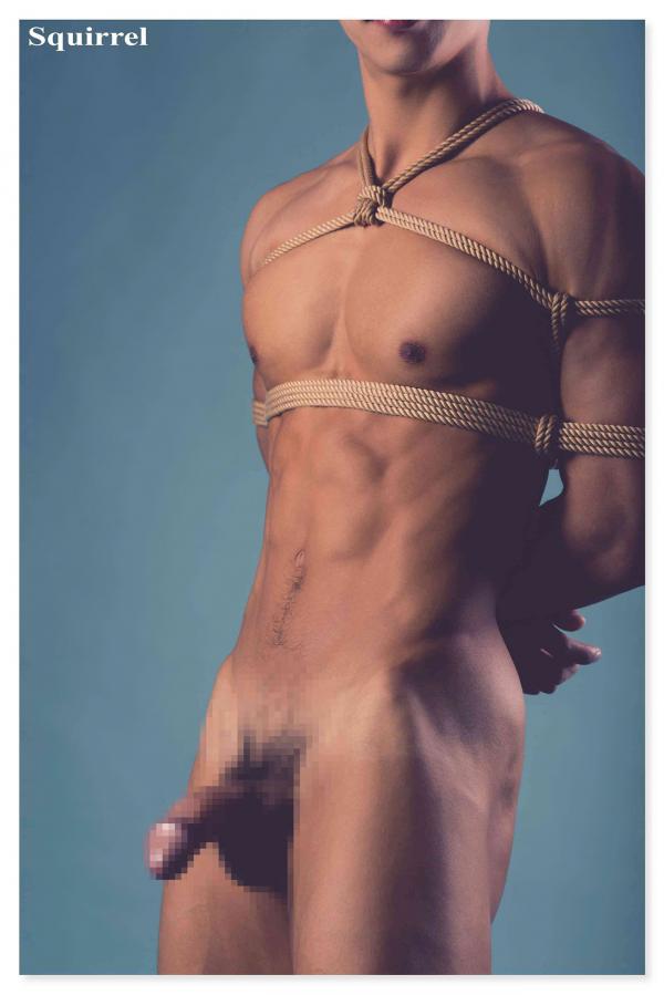 Squirrel-No.2--Young