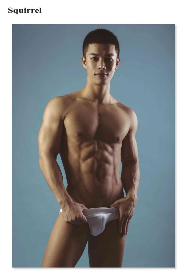 Squirrel-No.2--Young