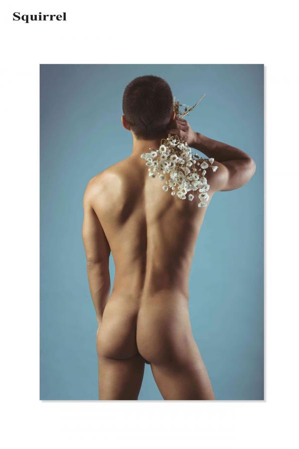 Squirrel-No.2--Young