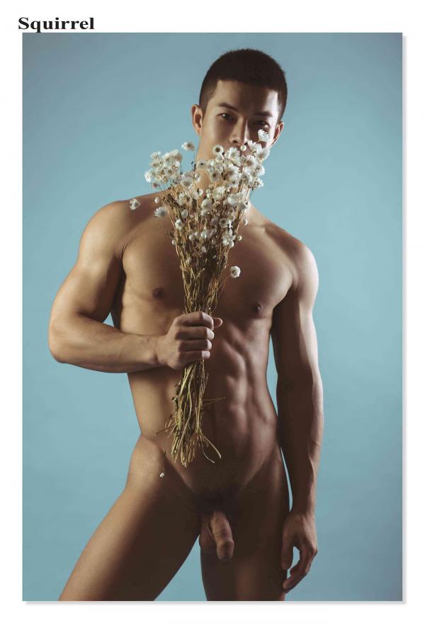 Squirrel-No.2--Young