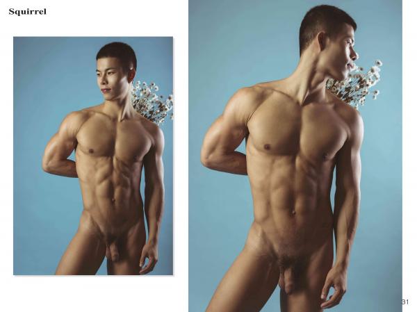 Squirrel-No.2--Young