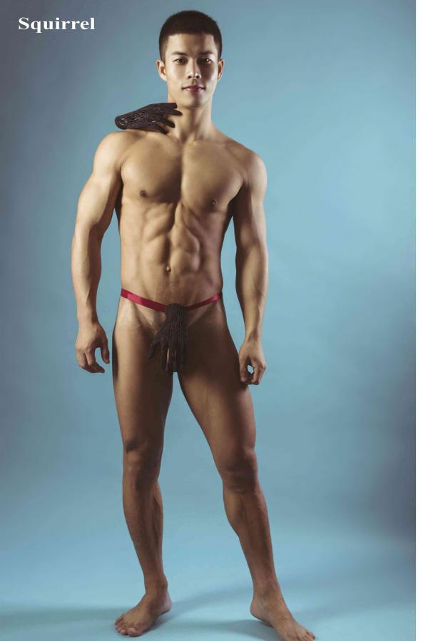 Squirrel-No.2--Young