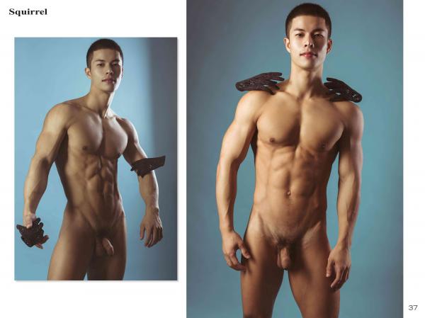 Squirrel-No.2--Young