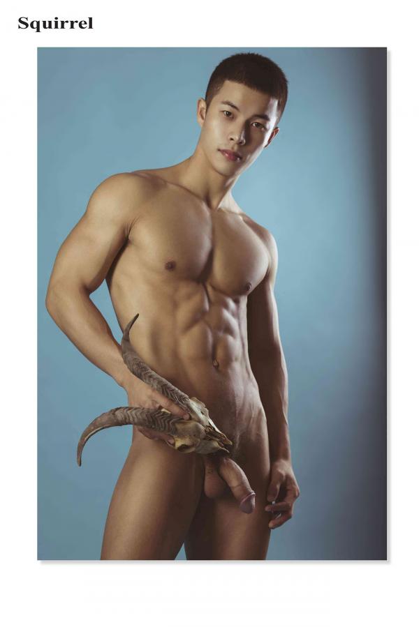 Squirrel-No.2--Young