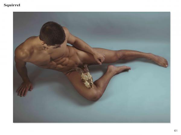 Squirrel-No.2--Young