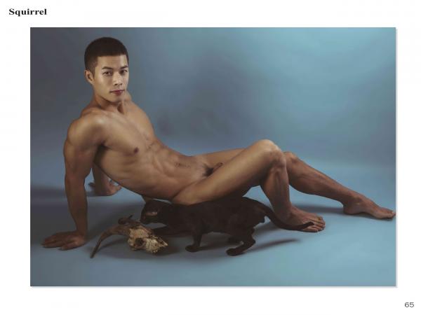 Squirrel-No.2--Young