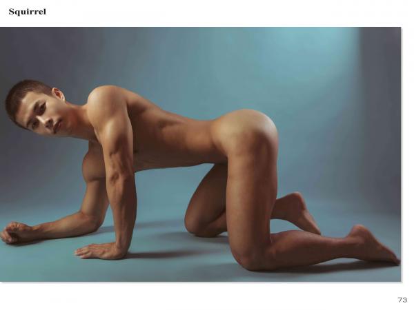 Squirrel-No.2--Young