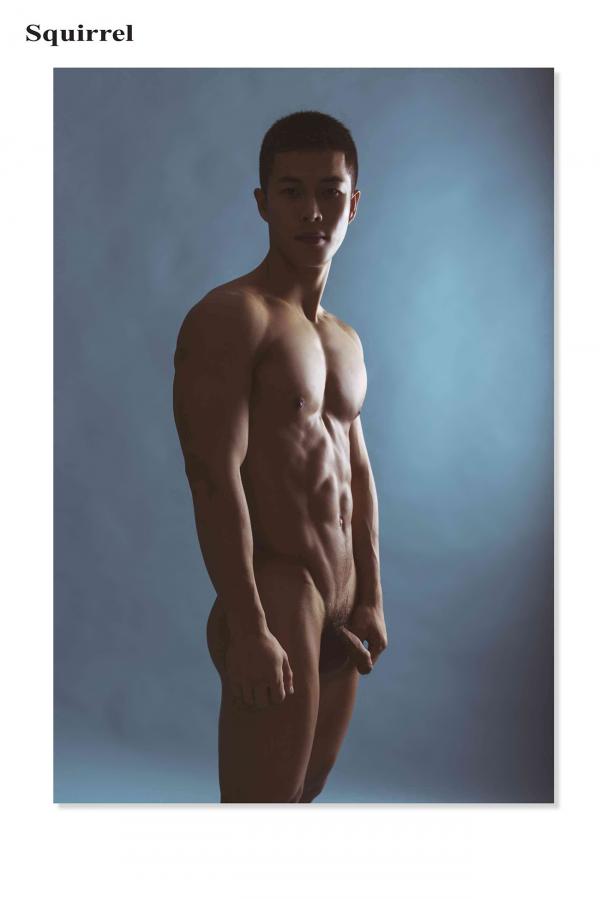 Squirrel-No.2--Young