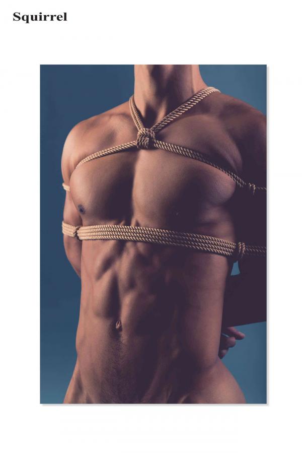 Squirrel-No.2--Young