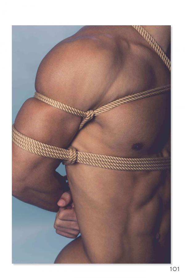 Squirrel-No.2--Young