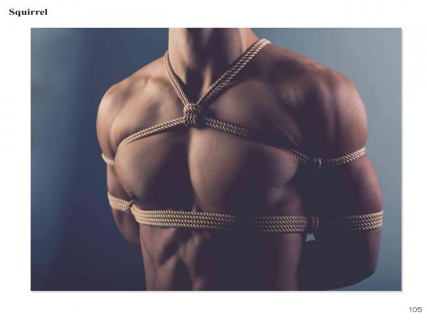 Squirrel-No.2--Young