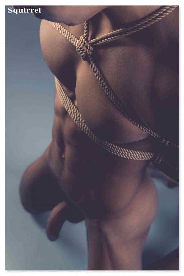 Squirrel-No.2--Young