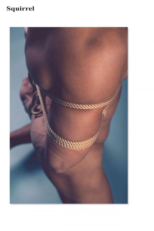 Squirrel-No.2--Young