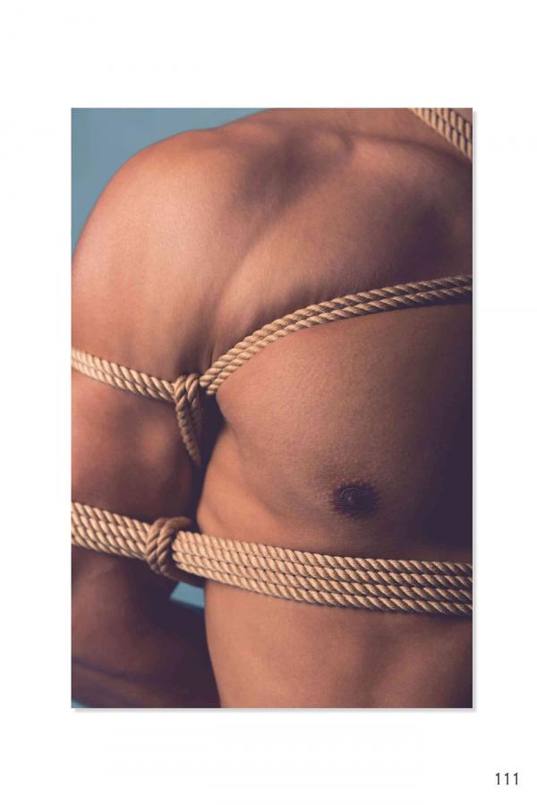 Squirrel-No.2--Young