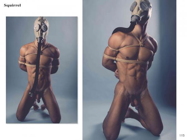 Squirrel-No.2--Young